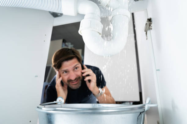 Best Plumbing Repair Near Me  in Mion, AR