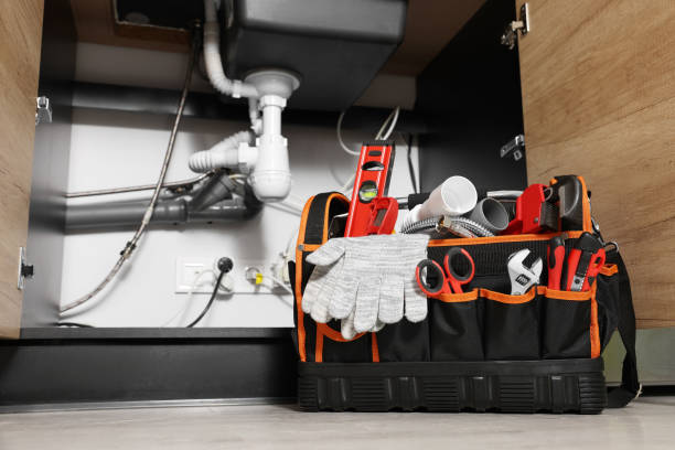 Best Same-Day Plumbing Service  in Mion, AR